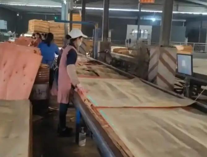 How to solve the problem of low efficiency of manual paving in plywood production line
