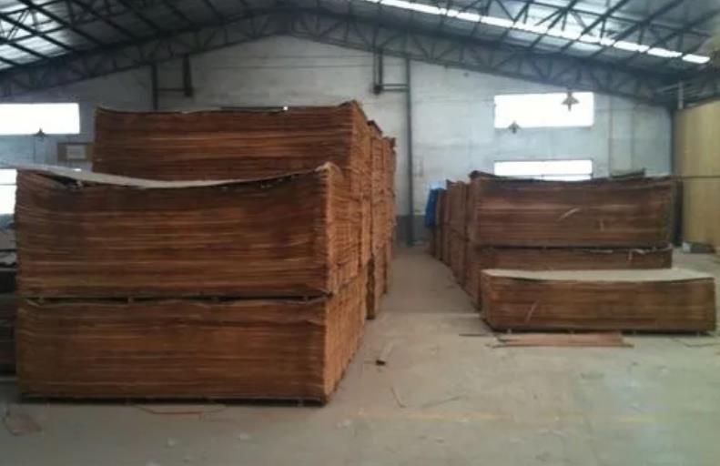 Which type of wood is good for producing wood veneer